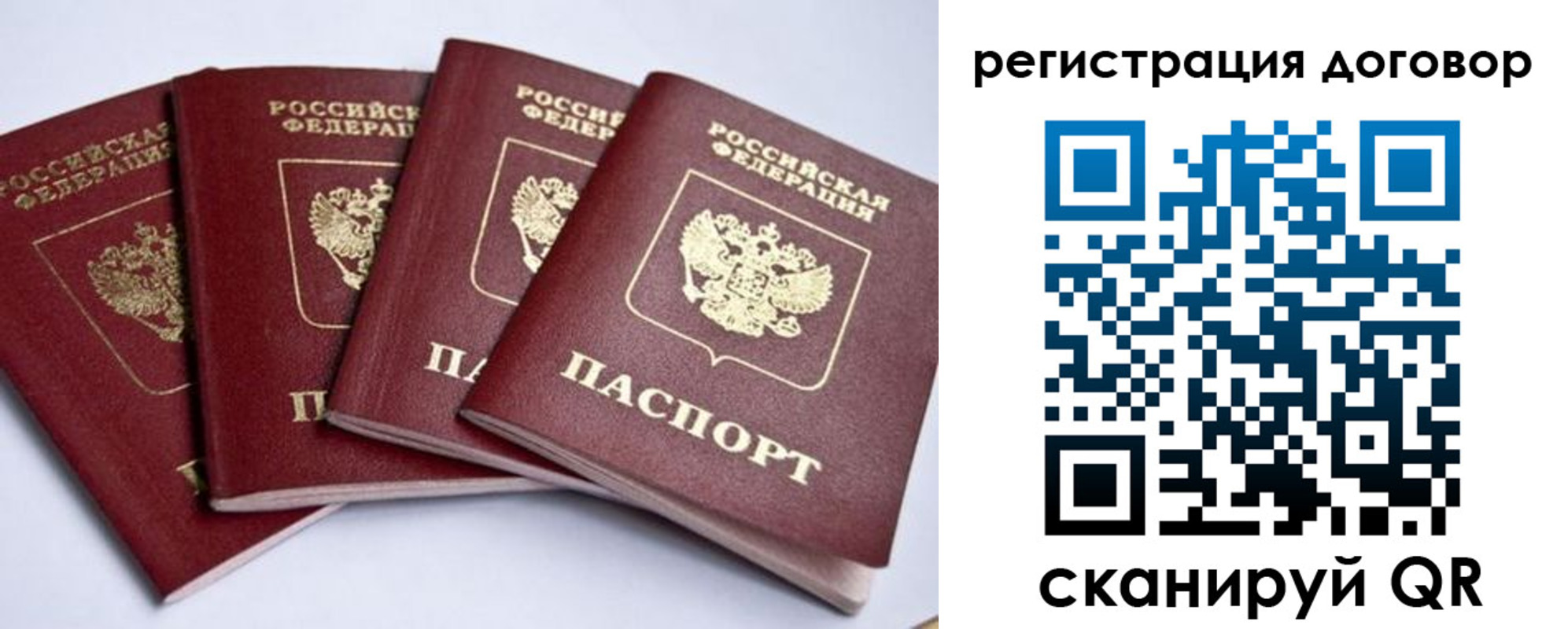 прописка паспорт в Новомосковске